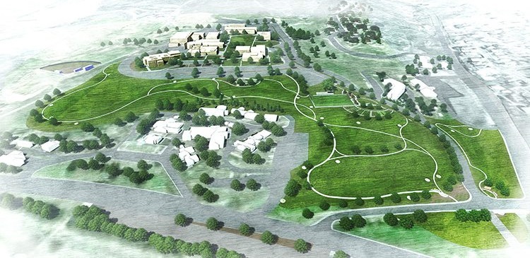Peyzaj Bakım Hizmeti